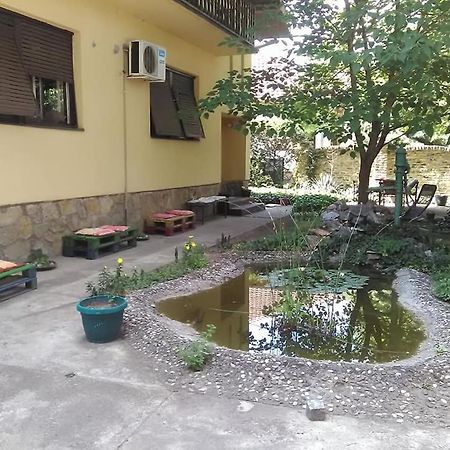Smestaj U Okviru Domacinstva Sobe Sosa Palić Extérieur photo