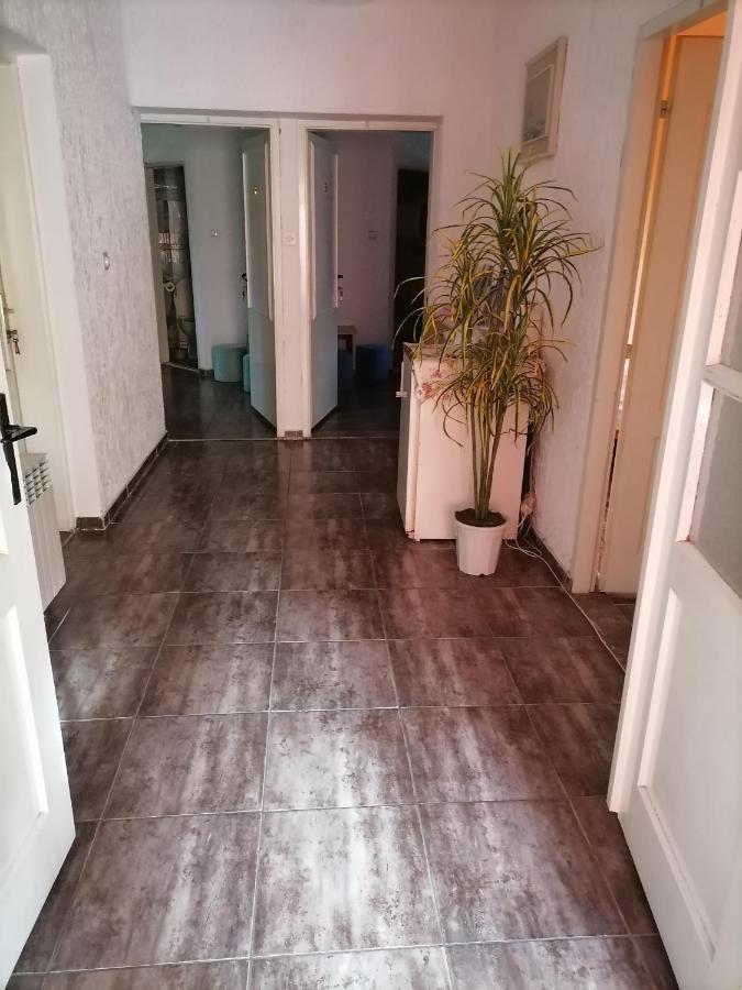 Smestaj U Okviru Domacinstva Sobe Sosa Palić Extérieur photo